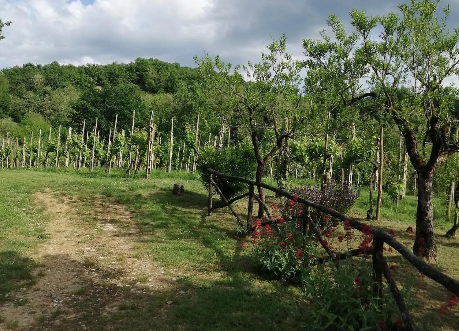 Appartamento Bellosguardo Figline Valdarno Italia